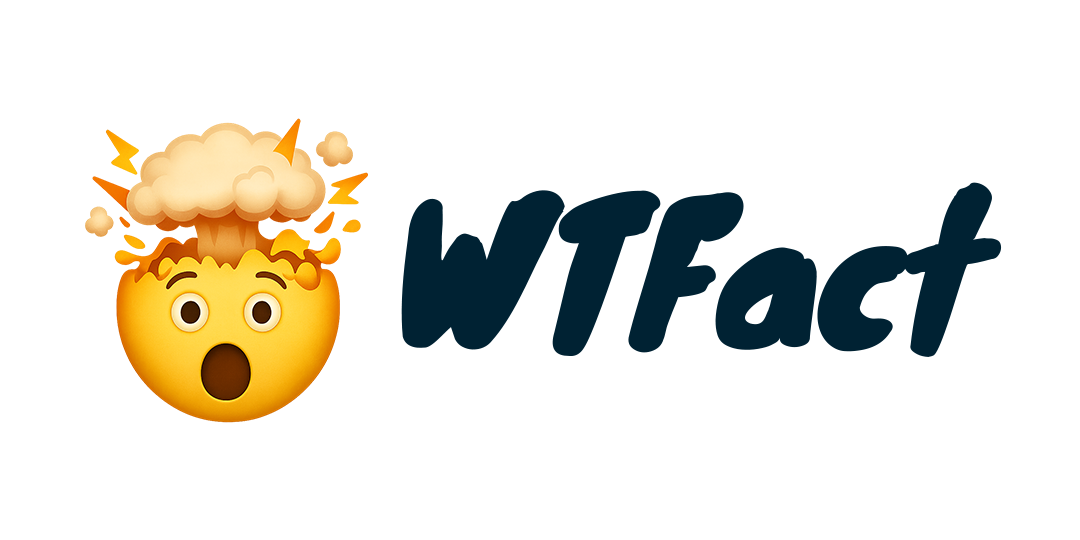WTFact logo